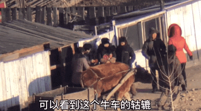 直播朝鲜人挖土，成了财富密码