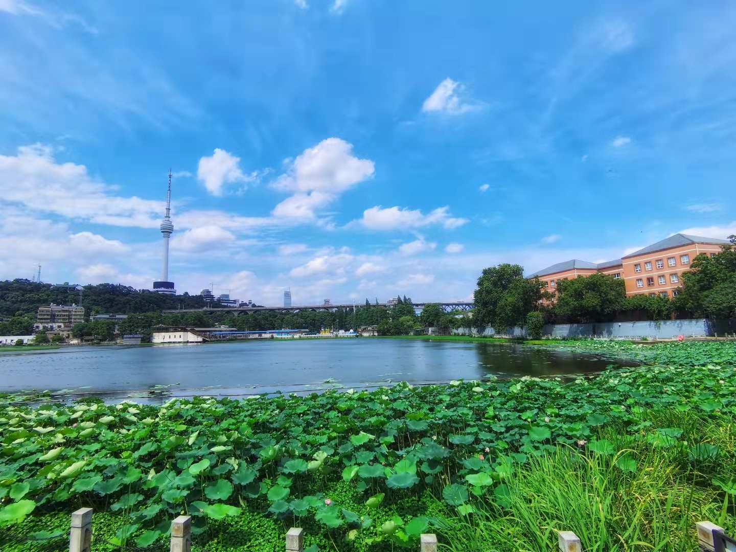 汉阳湖景区图片