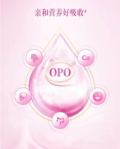 一,添加opo结构脂,促进吸收