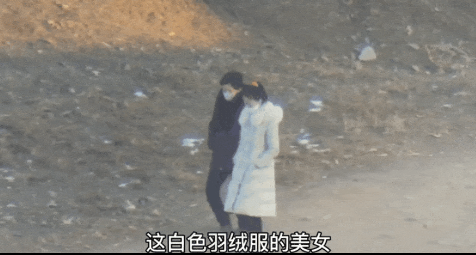 直播朝鲜人挖土，成了财富密码