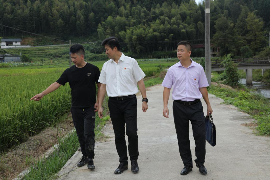 石城支行副行长曹逸峰正向何平了解稻花鱼生长情况