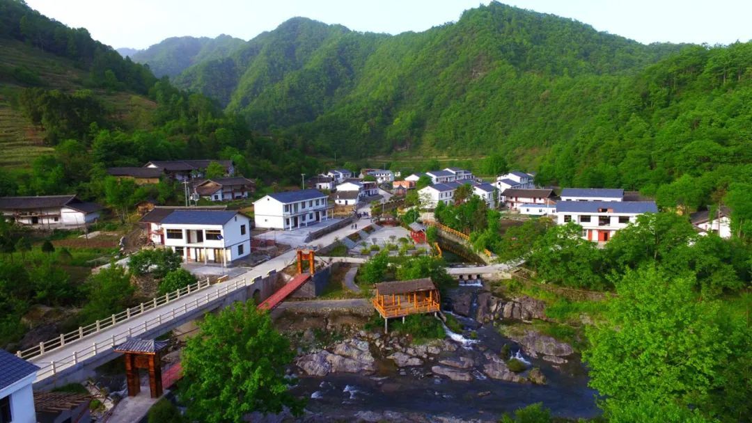 康县阳坝镇田坝村