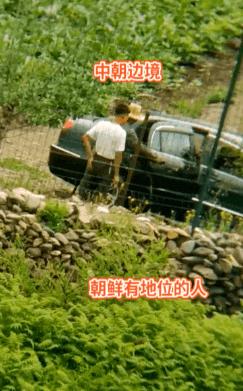 直播朝鲜人挖土，成了财富密码