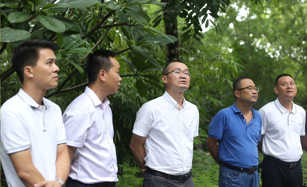 三亚市吉阳区委书记陈明开展防风防汛检查工作