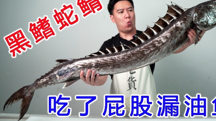 试吃超大的黑鳍蛇鲭，又丑又凶猛，吃了还屁股漏油