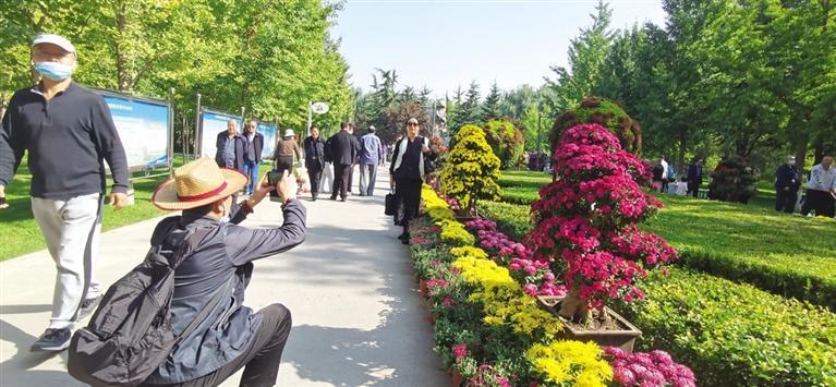兰州植物园金秋菊花展吸引了众多游客