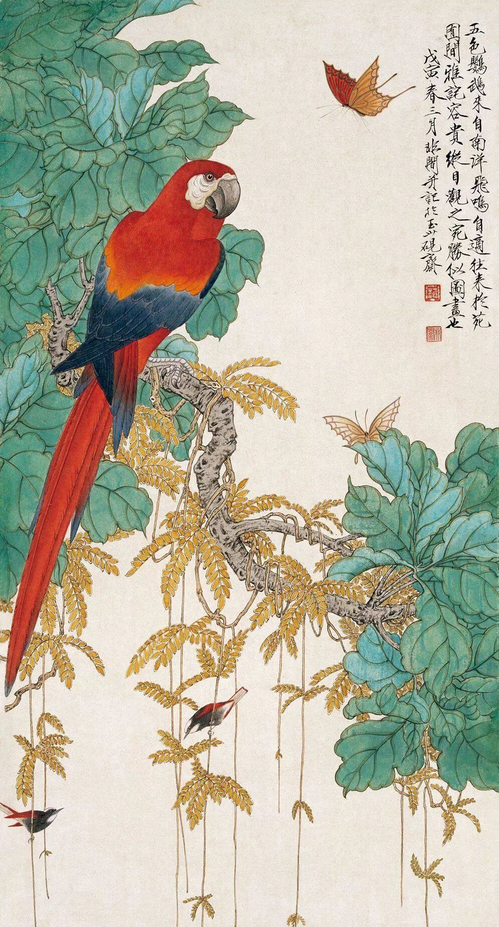 于非闇花鸟欣赏_凤凰网