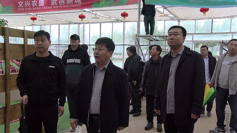 武邑县长王桂冰调研旅发大会筹备工作