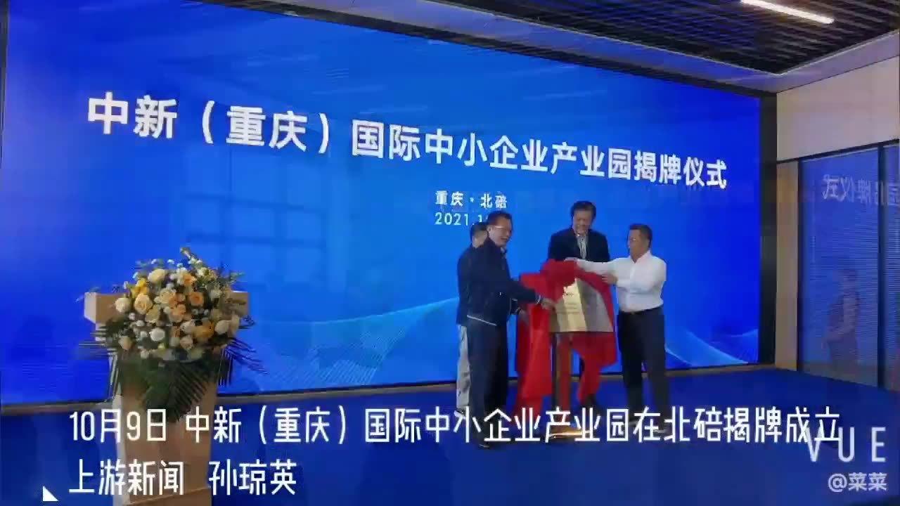 中新（重庆）国际中小企业产业园在渝揭牌成立 可容纳企业千家以上