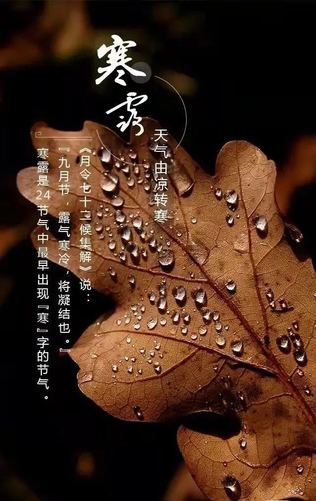 一阵秋雨一阵凉 请把武威的秋天留下