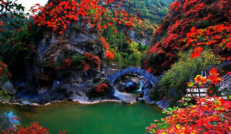 陇南市最著名的景点图片