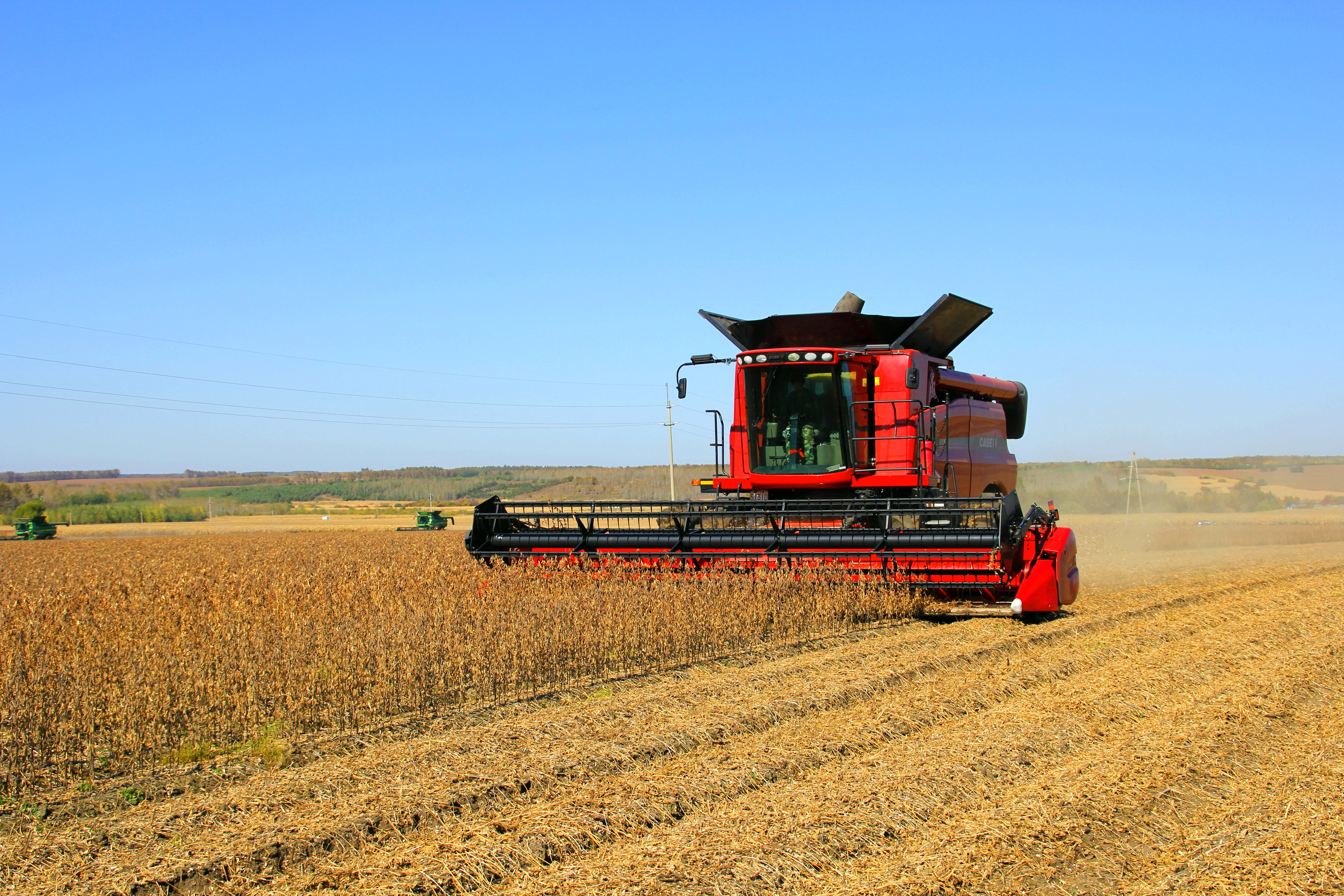 试验地号最高亩产581斤1599万亩非转基因大豆喜获丰收