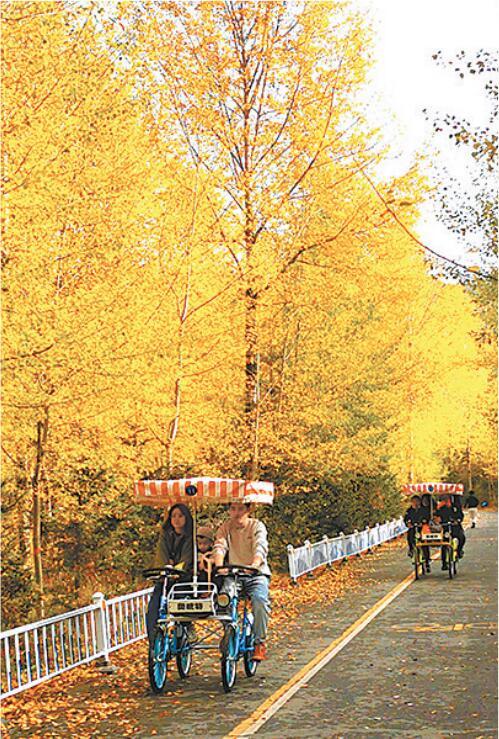 10月5日,許多遊客在秋景如畫的西寧市湟中區蓮花湖景區遊覽.