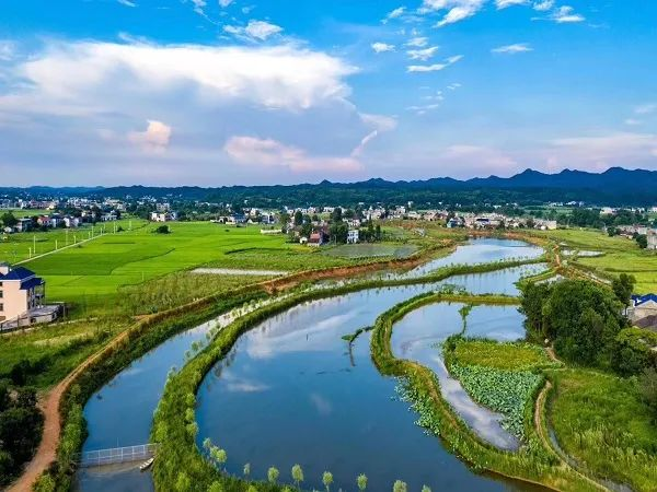 唐家湖湿地