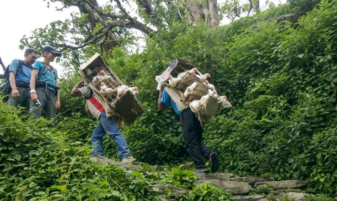 为什么有这么多人痴迷于去尼泊尔爬山