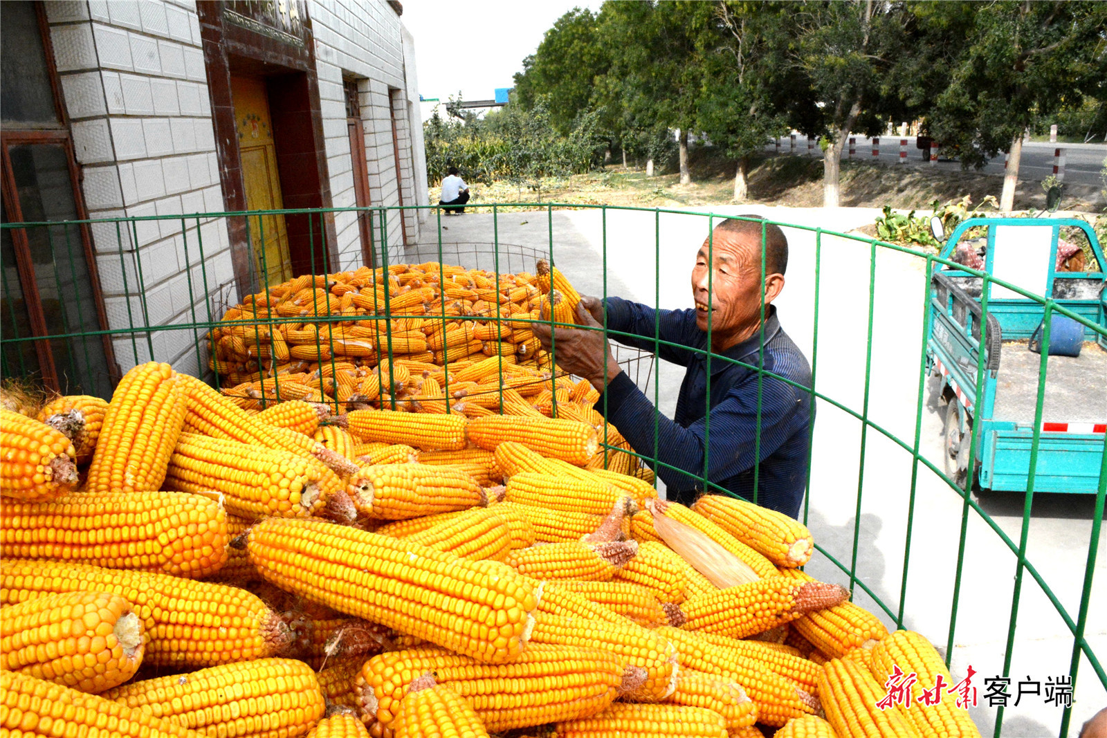 丰收的喜悦 新甘肃·甘肃日报记者 金奉乾 摄