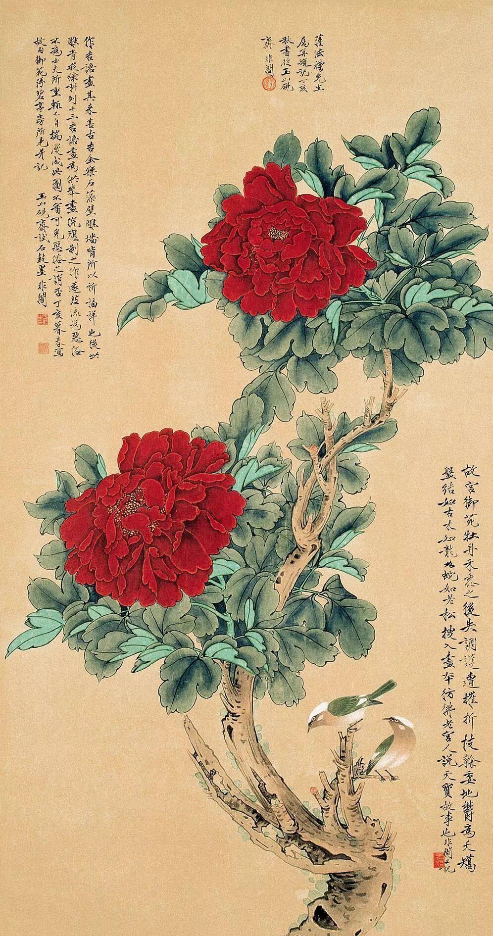 于非闇花鸟欣赏_凤凰网