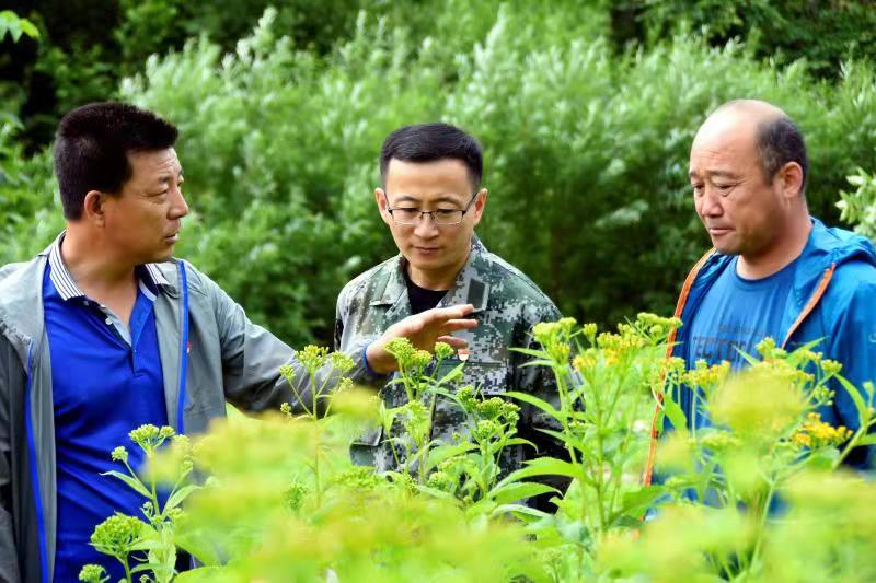 红石林业局毛陈居图片