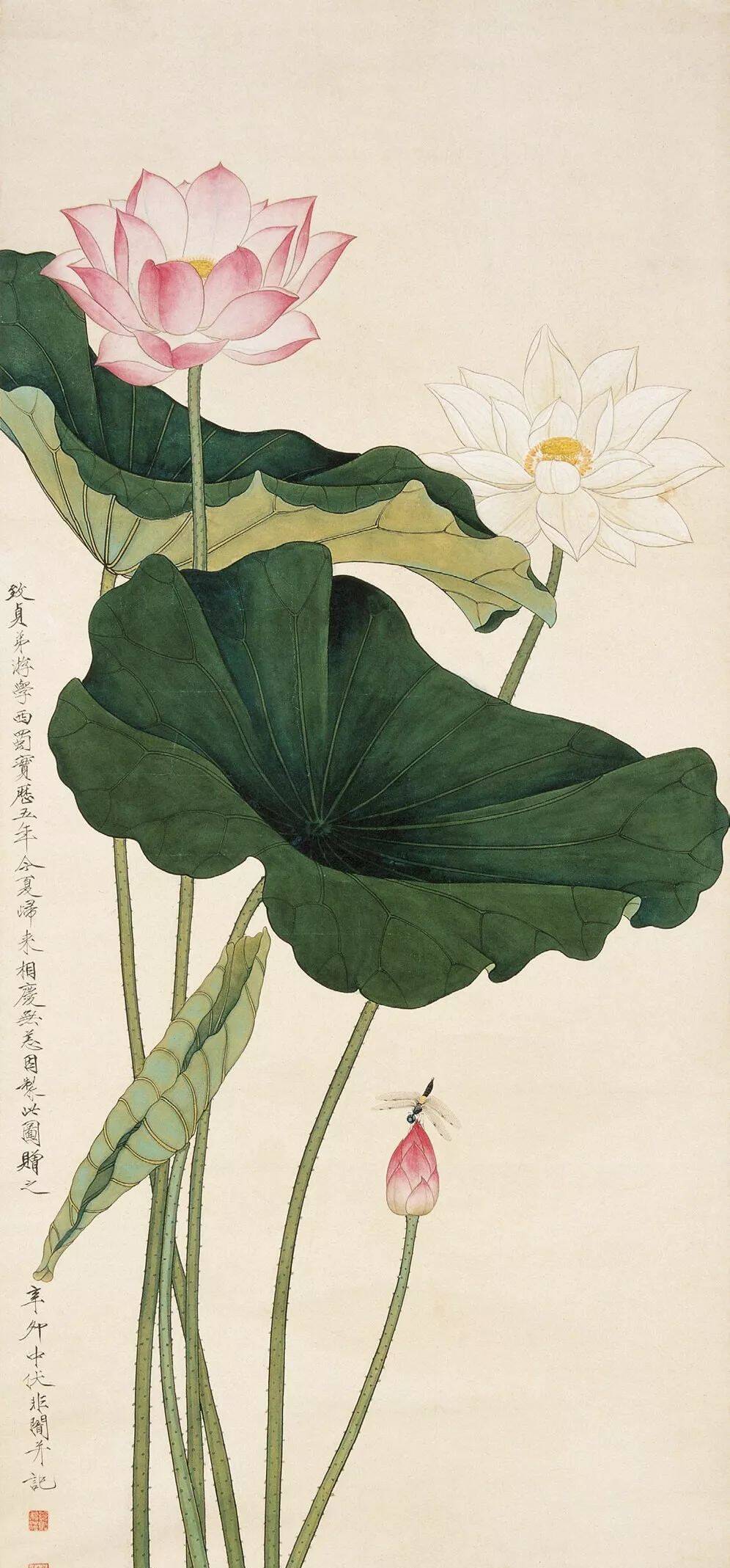 于非闇花鸟欣赏_凤凰网