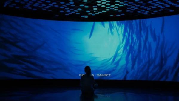 深藏BLUE！上海同济大学里的“海底世界”等你来打卡