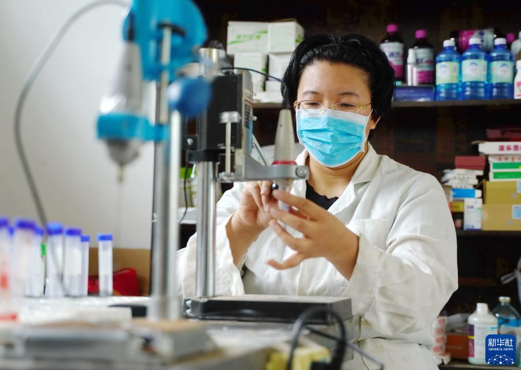 10月5日，郑林林在实验室做骆驼血清分离实验。