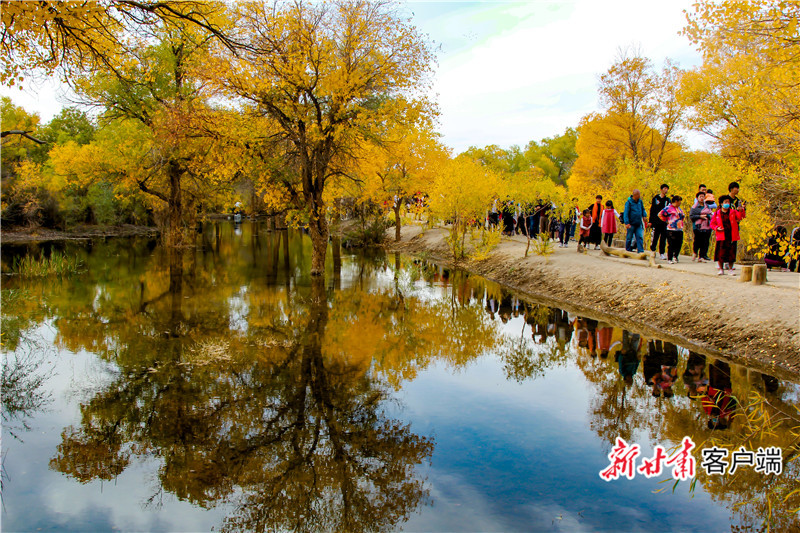 胡杨美景如诗如画