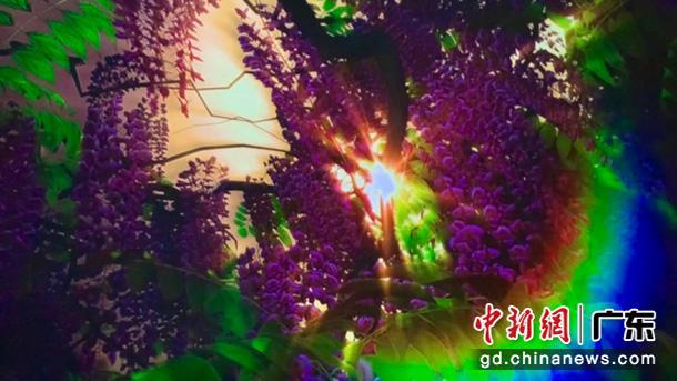 国际球幕数字艺术科普巡展广州揭幕 主办方供图