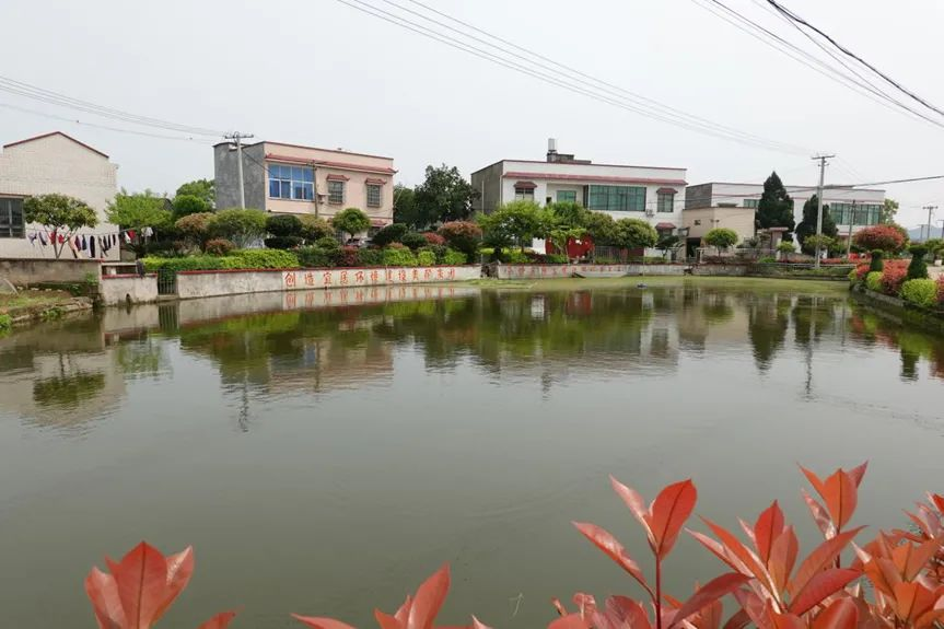 金湖村