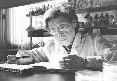 浏阳籍中科院院士陈文新去世 30年执著根瘤菌 曾叹“日夜难安”