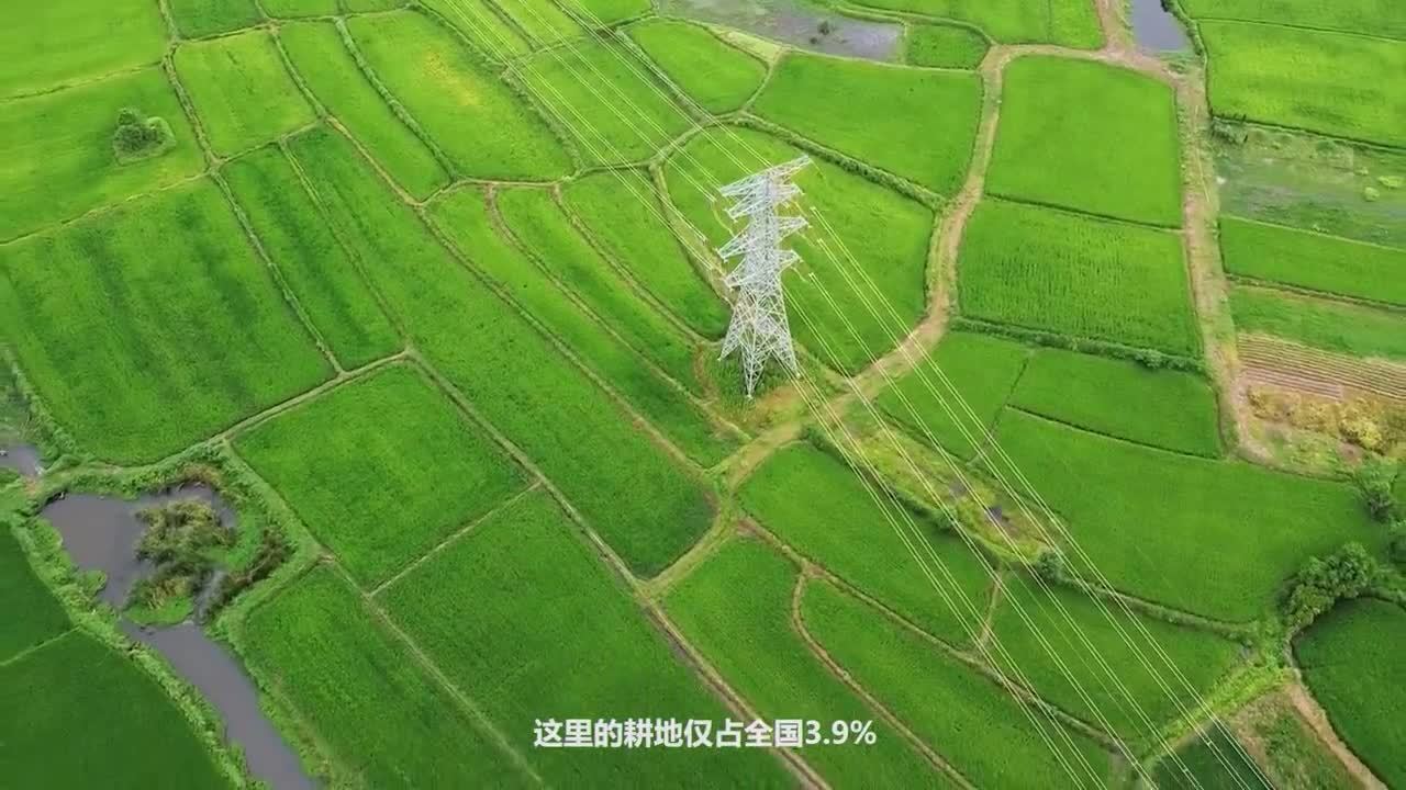 我们的共同家园｜大美湖北 万物并秀