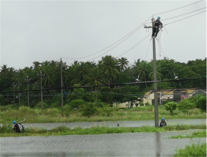 台风“圆规”登陆前，南方电网海南文昌供电局工作人员对10千伏南文线的低洼地段进行安全隐患消缺和杆塔拉线固定。黄宏力 摄