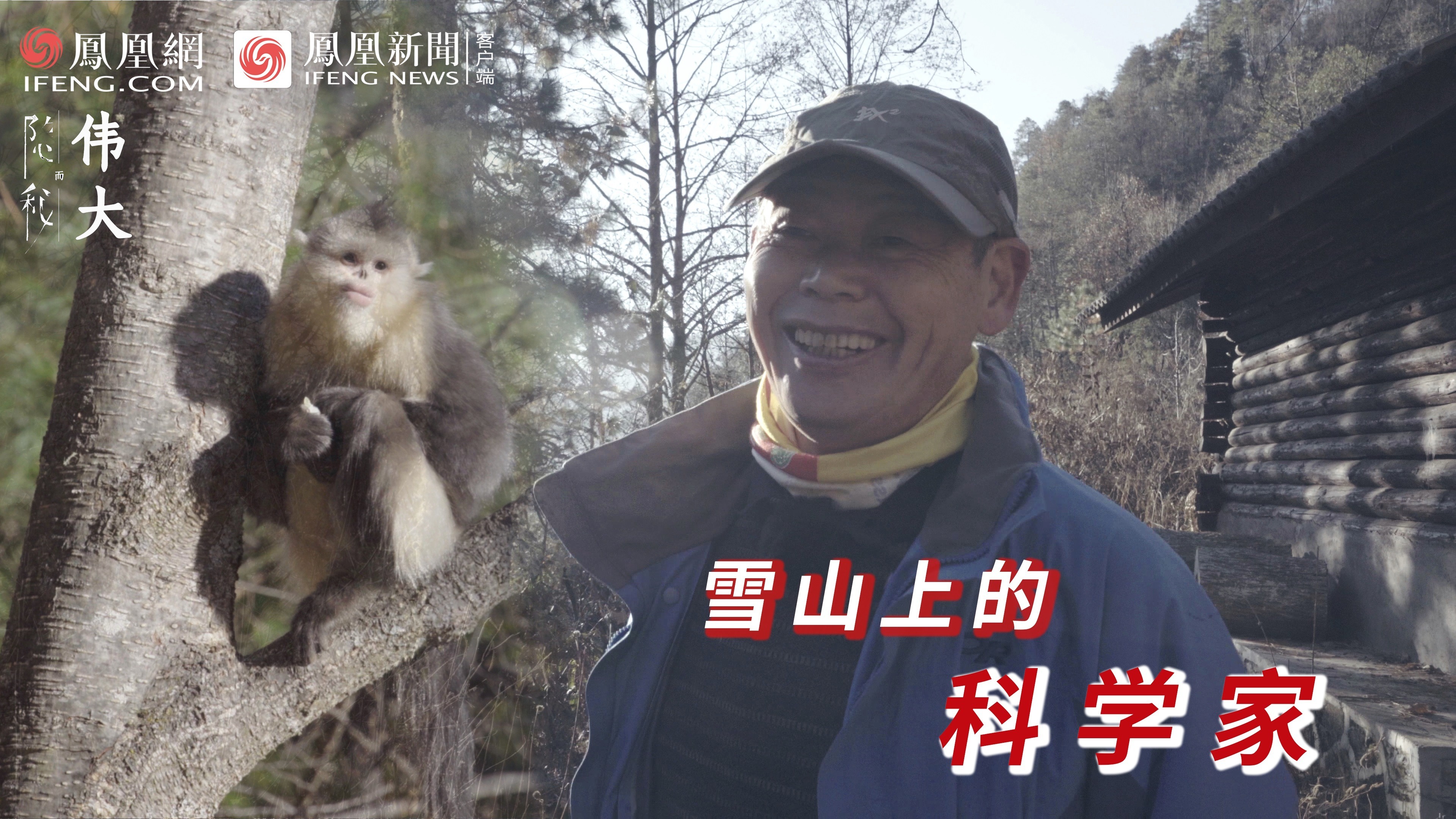 科学家龙勇诚：守护雪山精灵36年 我想保护的不只是滇金丝猴群