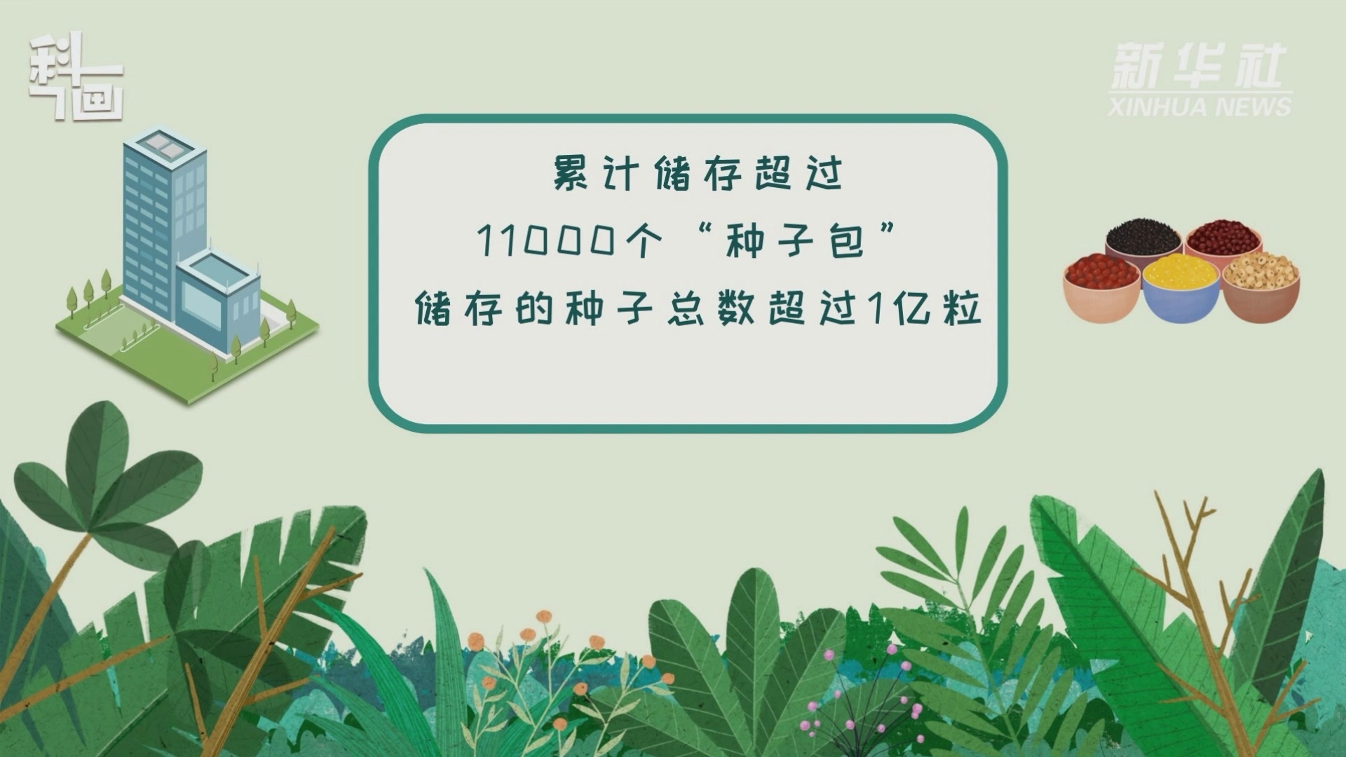 科画｜走进植物种子库，看种子如何“备份”？