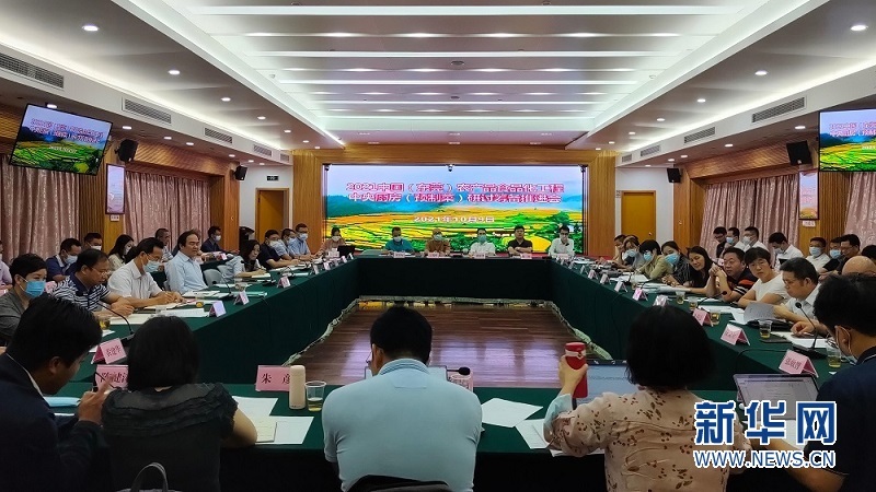 会议现场。新华网发