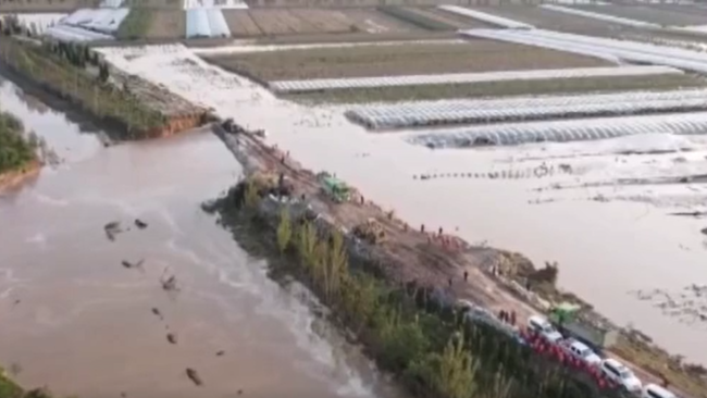 直击：陕西大荔漫堤决口成功合龙