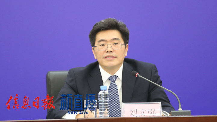 中国电子信息产业发展研究院副院长刘文强