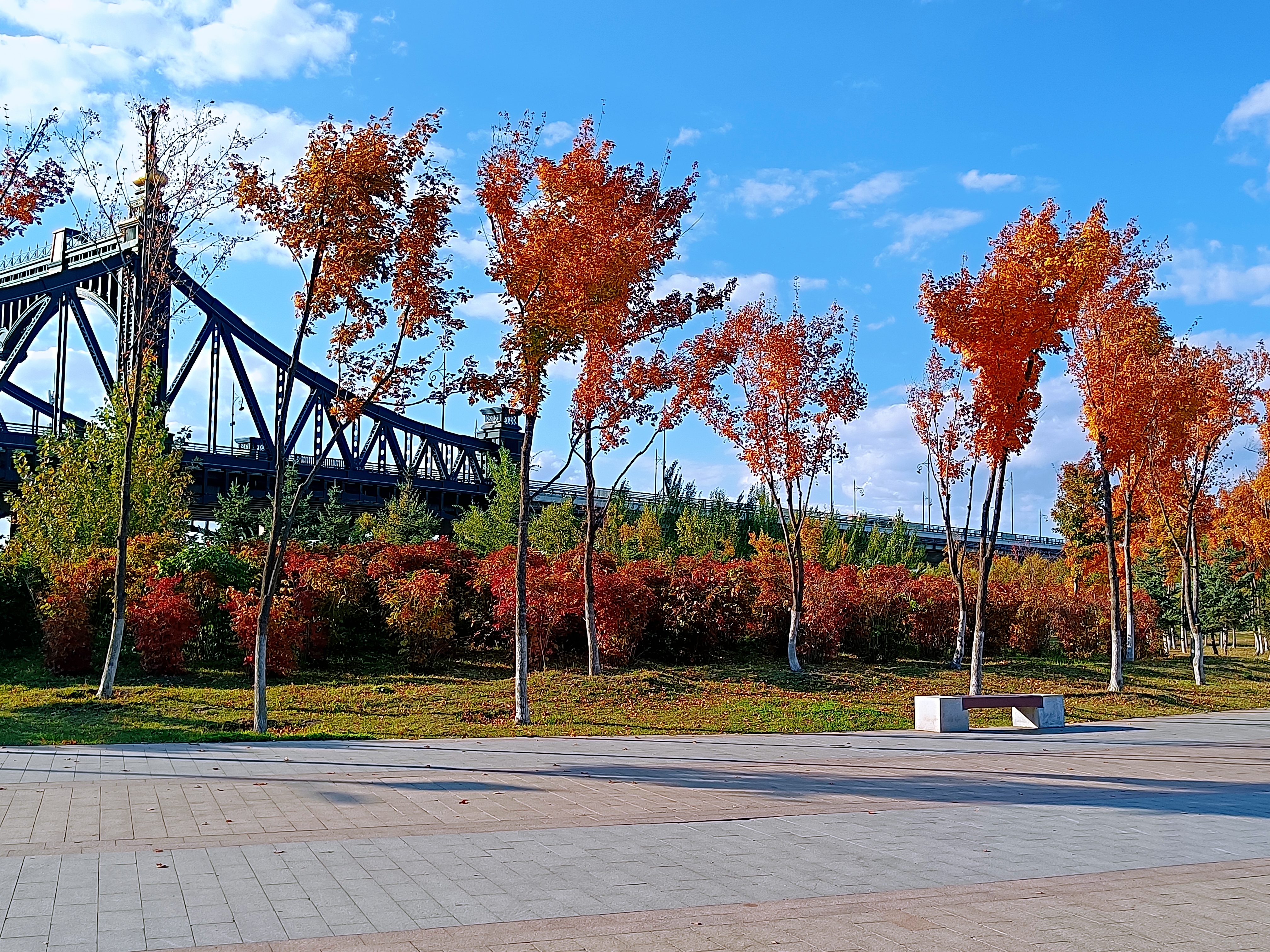 哈尔滨:这些地方的最美秋色等你打卡