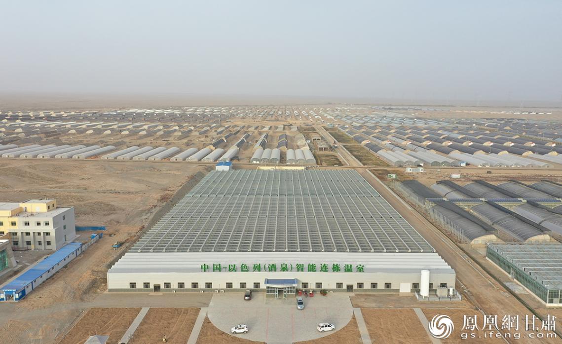 中以绿色生态产业园已开工建设高标准日光温室4094座，占地面达14329亩。杨艺锴 摄
