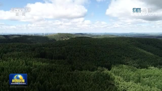习近平出席《生物多样性公约》第十五次缔约方大会领导人峰会并发表主旨讲话