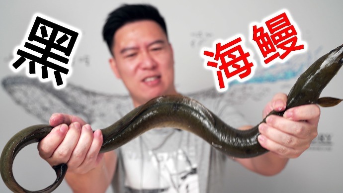 试吃不知名的大黑鳗，摸起来手感非常好，结果翻车了_凤凰网视频_凤凰网