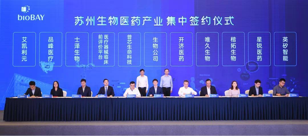 总投资超百亿元 20个生物医药项目于苏州园区集中签约 凤凰网