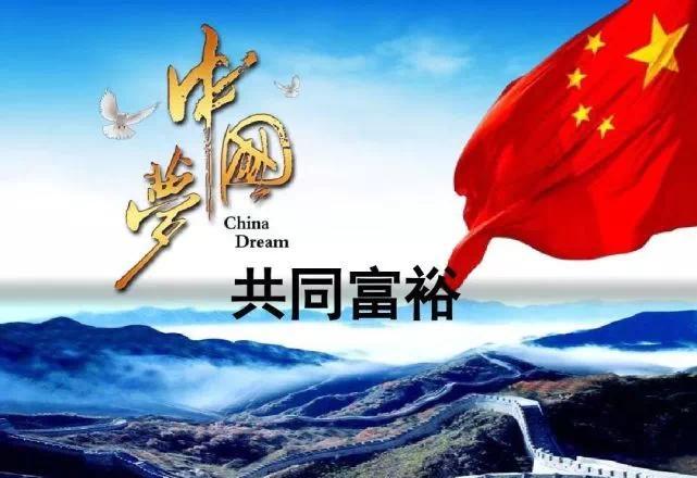 扎实促进共同富裕政协云热点关注话题引委员热议