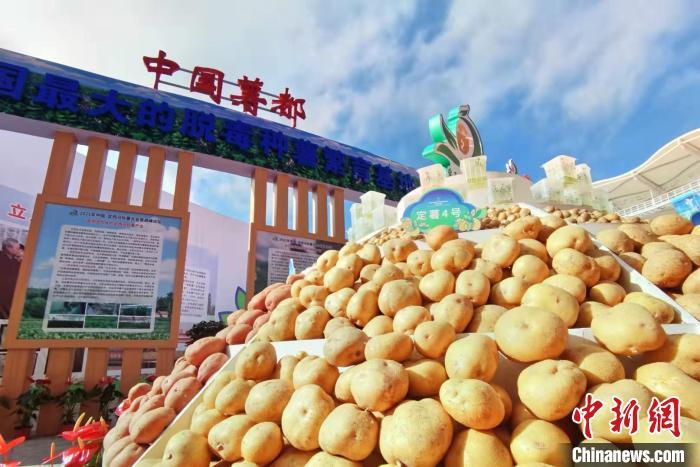 我国马铃薯种植面积达7000万亩西部主产区占比逾八成