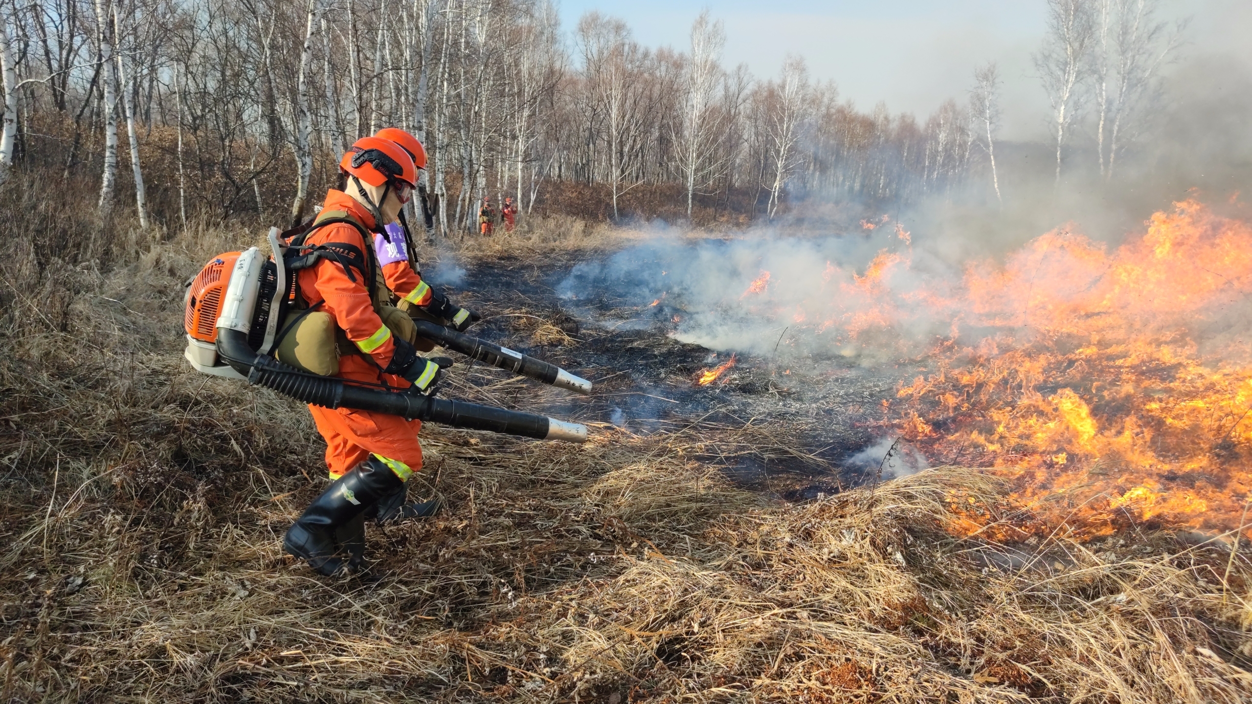 各地根据不同的气候情况,即在每年第一场降雪前点烧"防火线",将林缘的