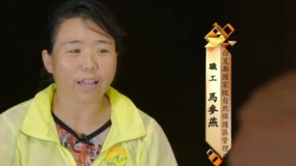 经过王有德与团队的多年努力，如今的白芨滩是一幅怎样的景象？