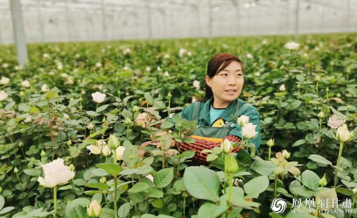 农民转型成为产业工人，在满园鲜花中工作。陈沛辰 摄