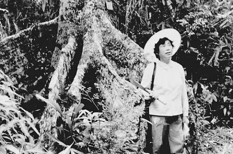 1984 年，在海南省五指山采集根瘤菌。图 / 北青网