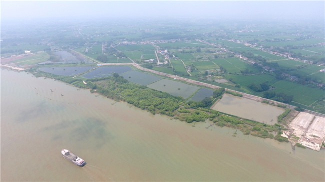 三江营湿地