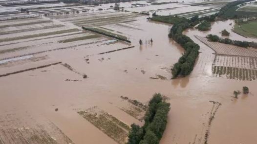 航拍陕西大荔水灾：12个村庄被淹农田成汪洋 2.3万余人紧急撤离