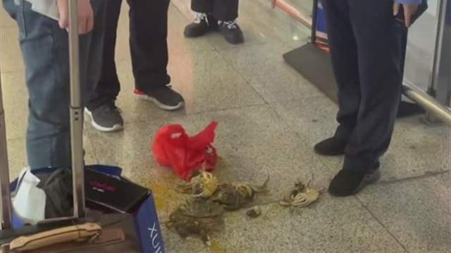 活螃蟹不让上高铁 男子当场踩死